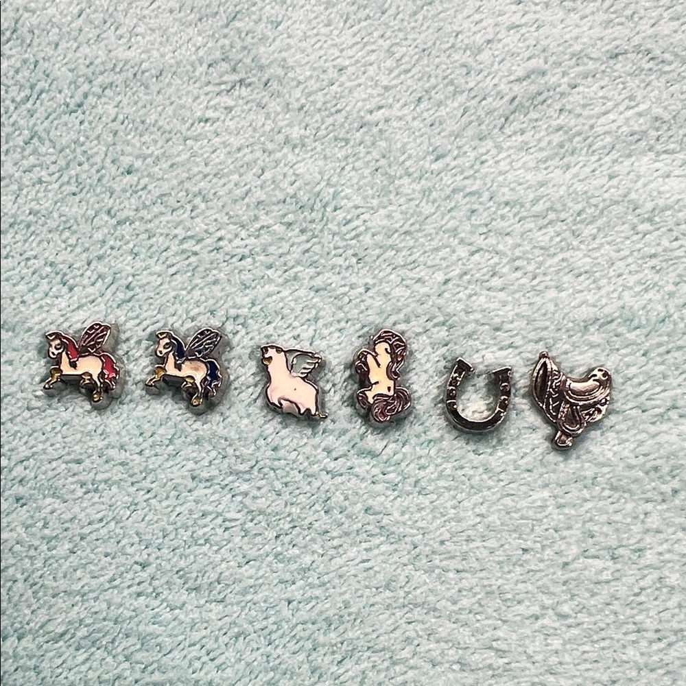 Floating Locket Charms